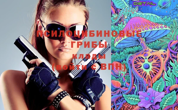 индика Алексеевка